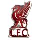 Liverpool kitűző Liverbird